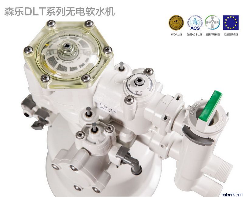 DLT-s - 副本.jpg