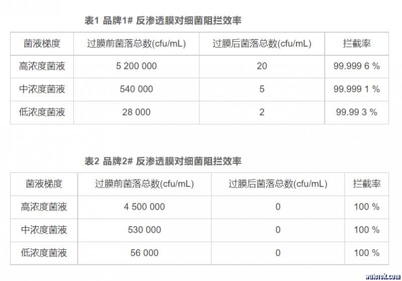 净水器细菌滋生研究-6.jpg
