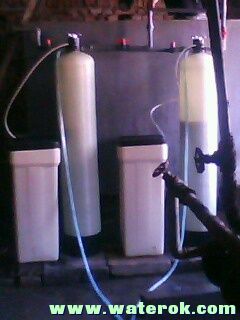 IMG0104A.jpg