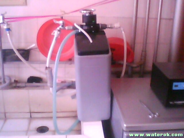 IMG0161A.jpg