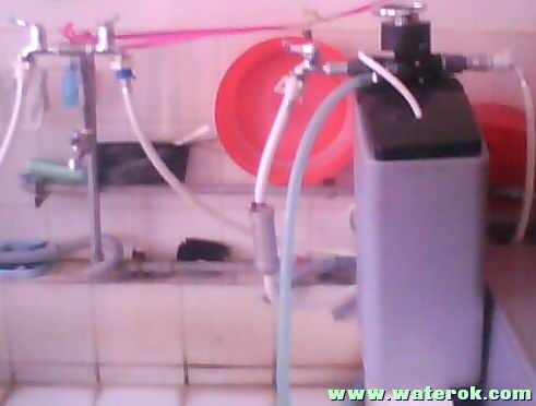 IMG0162A.jpg