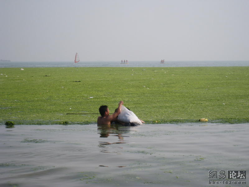 newimg4579_20080709092927_14.jpg